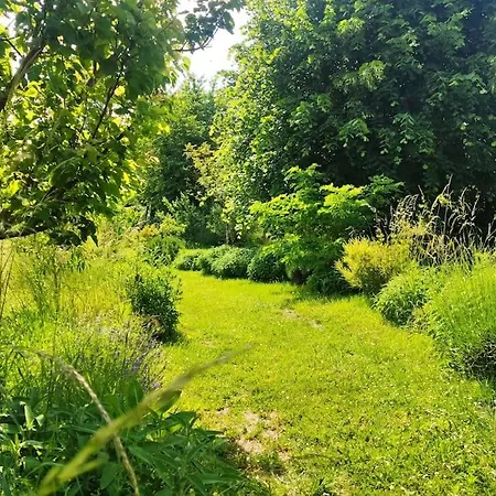 Chez Grigri Pour Max 11 Pers Avec Piscine Chauffee Et Jardin *
