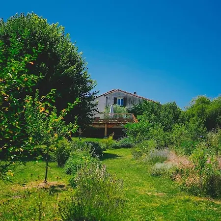 Chez Grigri Pour Max 11 Pers Avec Piscine Chauffee Et Jardin בית נופש *